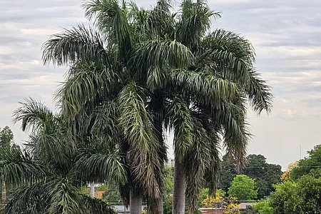 Paraguay, Digitaler Nomade