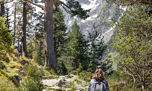 Familienleistungen in der Schweiz