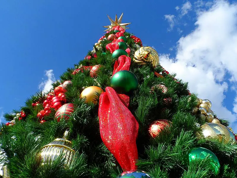 Geschmückter Weihnachtsbaum unter blauem Himmel