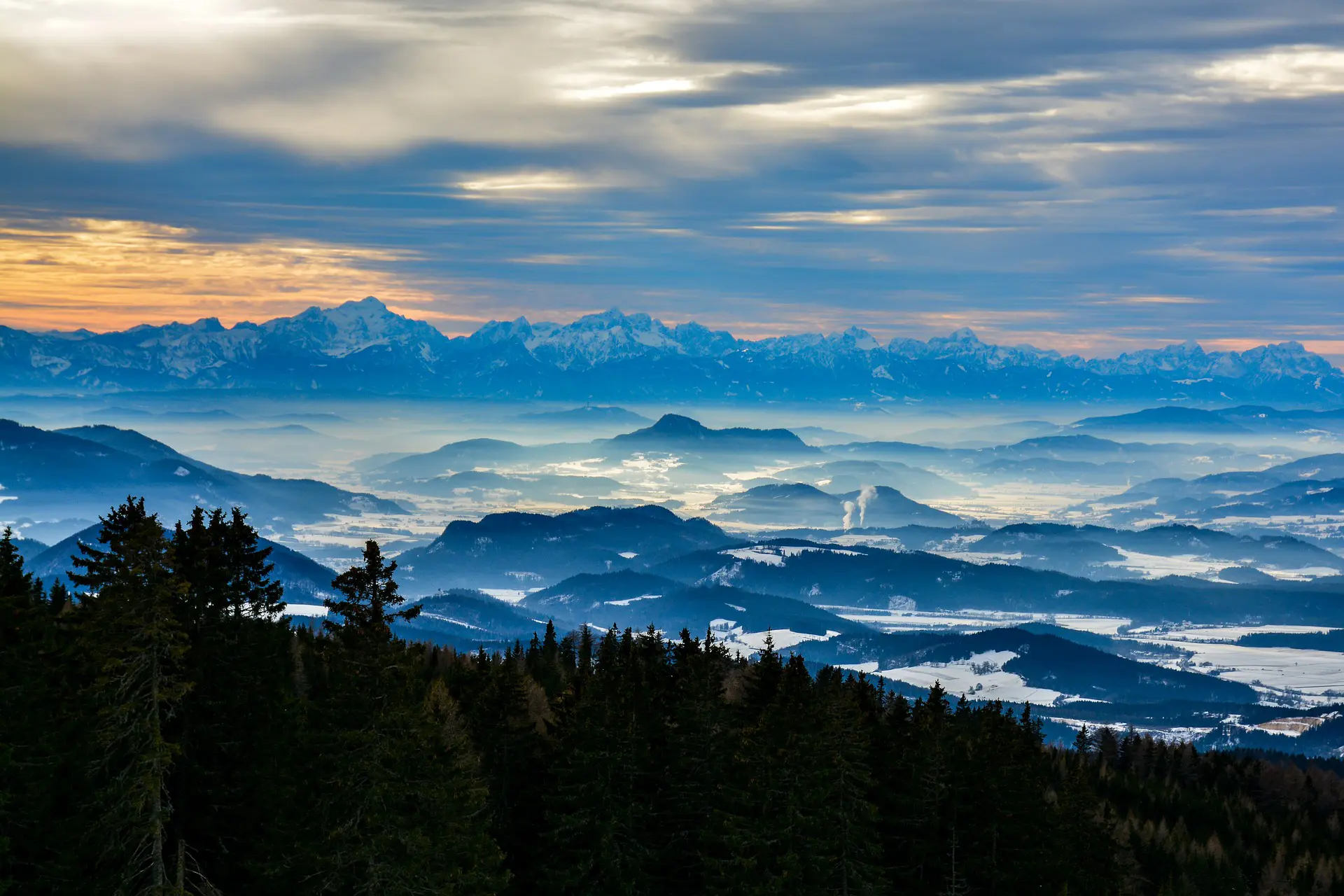 Länder im Fokus: Österreich