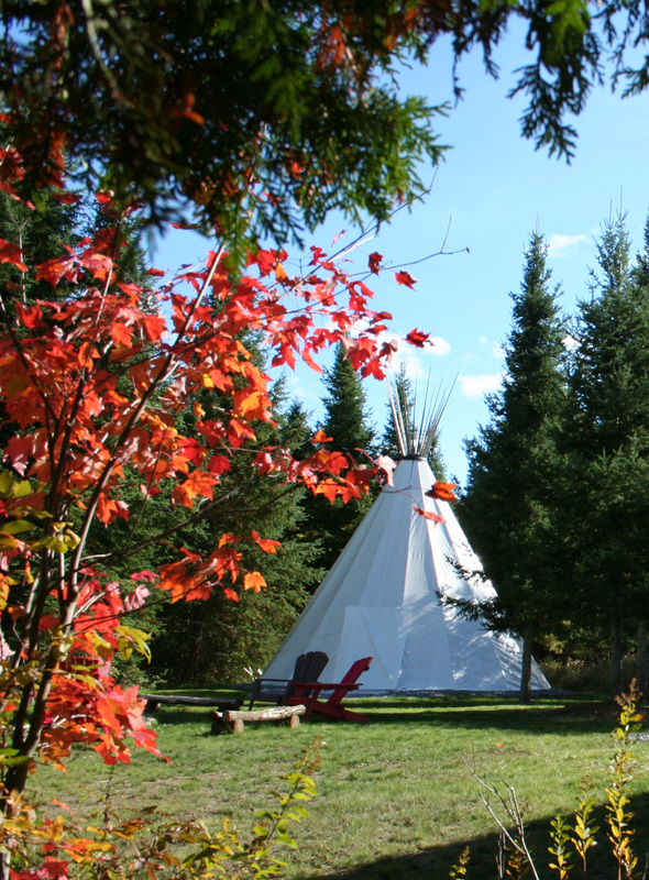 Tipi