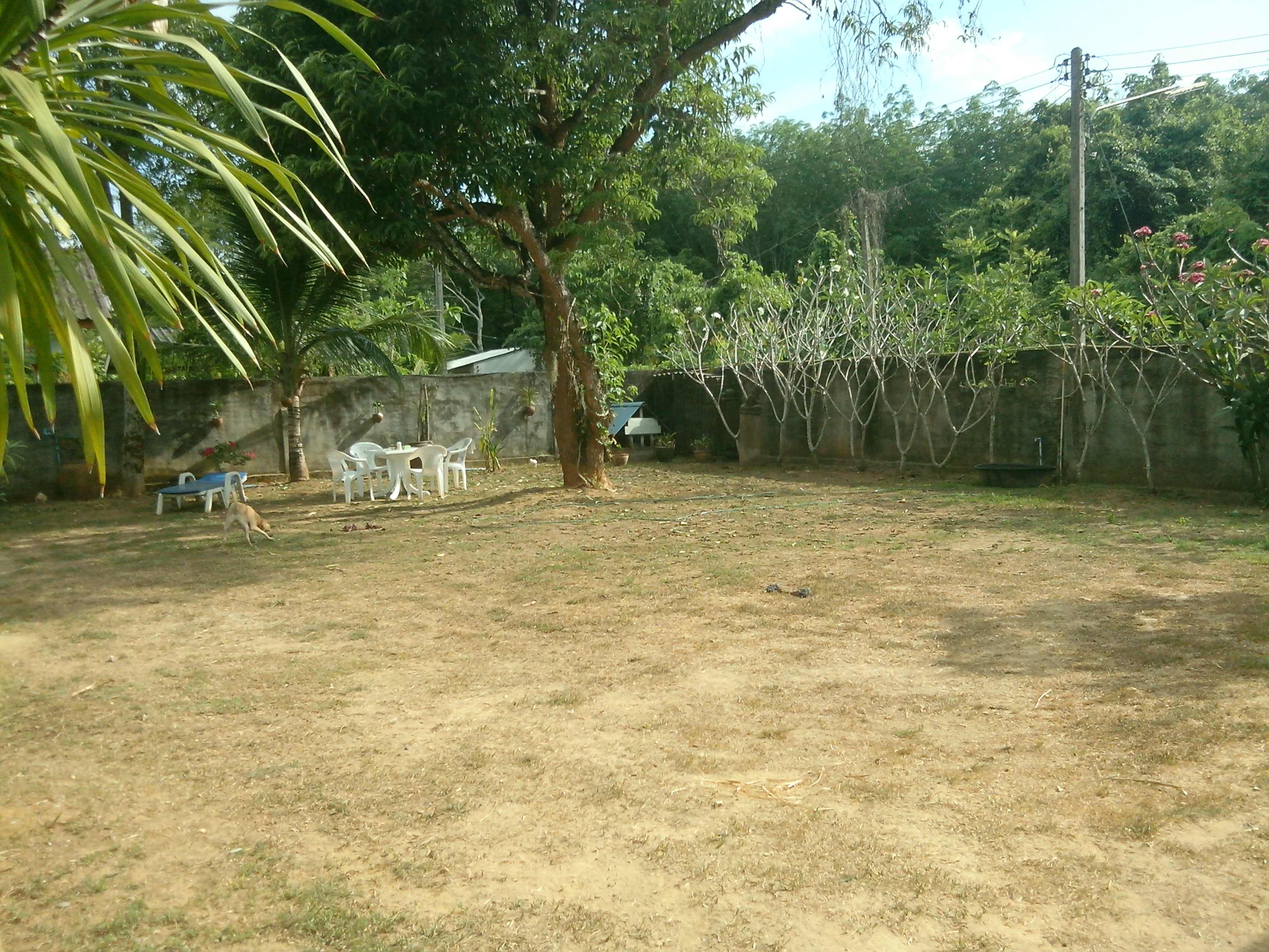 Garten in Phuket