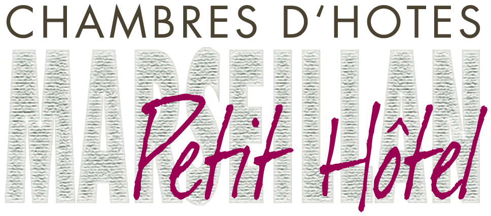 Logo Petit Hotel